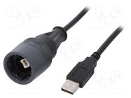 Cable; USB 2.0; USB A plug,USB B plug; IP66,IP68,IP69K; 1A; 5m BULGIN