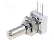 Potentiometer: shaft; single turn; 250Ω; 1W; ±10%; 6.35mm; THT VISHAY