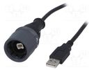 Cable; USB 2.0; USB A plug,USB B plug; 1A; 2m; IP66,IP68,IP69K BULGIN