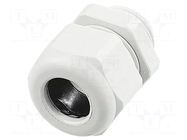 Gland; IP68; thermoplastic; M32; 18÷25mm; grey HARTING