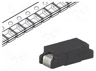 Fuse: fuse; 250mA; 125VAC; 125VDC; time-lag; ceramic; 7.4x3.1x2.6mm SCHURTER