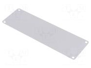 Front panel; Panel colour: natural; 10pcs; aluminium HAMMOND