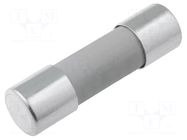 Fuse: fuse; 6A; 500VAC; gG; ceramic,cylindrical,industrial SIBA