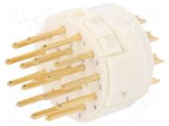 Connector: M23; contact insert; PIN: 17; male; soldering; 8A; 160V HARTING
