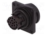 Connector: circular; socket; for panel mounting; PIN: 18; male AMPHENOL