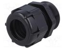 Cable gland; with long thread; PG29; IP68; polyamide; black BM GROUP
