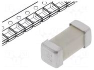 Fuse: fuse; 250mA; 125VAC; 125VDC; time-lag; ceramic; 6.1x2.6x2.6mm SIBA