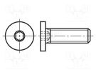 Screw; M6x10; 1; Head: cheese head; hex key; HEX 3mm; steel BOSSARD