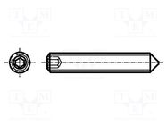 Screw; M3x6; 0.5; Head: without head; hex key; HEX 1,5mm; steel BOSSARD