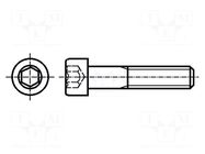 Screw; M6x40; 1; Head: cheese head; hex key; HEX 5mm; DIN 912; 24mm BOSSARD