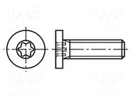 Screw; M5x16; 0.8; Head: cheese head; Torx®; TX15 BOSSARD