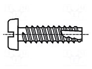 Screw; 3.9x6.5; Head: cheese head; slotted; 1mm; hardened steel BOSSARD
