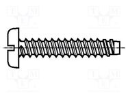 Screw; for plastic; 3.5x16; Head: cheese head; slotted; 1mm; steel BOSSARD