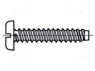 Screw; for plastic; 4.2x6.5; Head: cheese head; slotted; 1.2mm BOSSARD