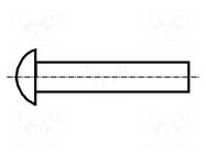 Rivet; A2 stainless steel; BN 690; DIN 660; Head: button BOSSARD