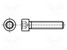 Screw; M2.5x12; 0.45; Head: cheese head; hex key; HEX 2mm; DIN 912 BOSSARD