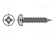 Screw; 5.5x19; Head: cheese head; Phillips; PH3; Øhead: 10.8mm KRAFTBERG