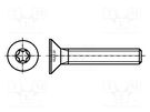 Screw; M3x5; Head: countersunk; Torx®; TX10; steel; zinc; ISO 14581 BOSSARD