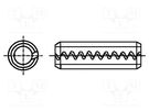 Springy stud; spring steel; BN 879; Ø: 2.5mm; L: 8mm BOSSARD