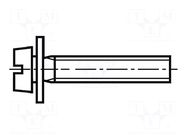 Screw; M3x12; 0.5; Head: cheese head; slotted; 0,8mm; steel; zinc BOSSARD