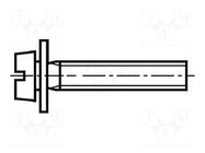 Screw; M5x16; 0.8; Head: cheese head; slotted; 1.2mm; steel; zinc BOSSARD