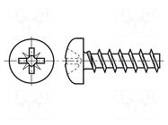 Screw; for plastic; 3x20; Head: cheese head; Pozidriv; PZ1; steel BOSSARD