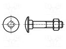 Screw; M6x80; 1; Head: button; square; steel; zinc; DIN 603; 18mm BOSSARD