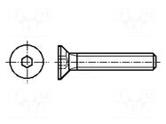 Screw; M10x30; 1.5; Head: countersunk; hex key; HEX 6mm; steel; zinc BOSSARD