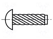 Screw rivet pin; hardened steel; BN 896; L.rivet: 6.35mm BOSSARD