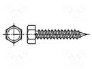 Screw; 4.8x38; Head: hexagonal; none; 8mm; hardened steel; zinc BOSSARD