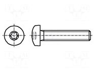 Screw; M6x12; 1; Head: cheese head; Torx®; TX30; steel; zinc BOSSARD