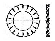 Washer; round; D=15mm; A2 stainless steel; DIN 6798A; BN 675 BOSSARD