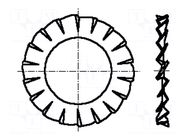 Washer; externally serrated; M8; D=15mm; h=0.8mm; spring steel BOSSARD