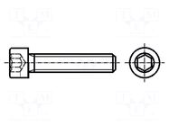 Screw; M8x30; 1.25; Head: cheese head; hex key; HEX 6mm; steel BOSSARD