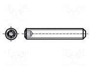 Screw; M6x12; 1; Head: without head; hex key; HEX 3mm; steel; zinc BOSSARD