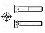 Screw; M6x16; 1; Head: cheese head; hex key; HEX 5mm; steel BOSSARD