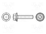 Screw; with flange; M5x12; 0.8; Head: hexagonal; steel BOSSARD