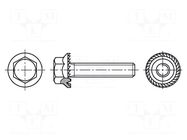 Screw; with flange; M8x16; 1.25; Head: hexagonal; steel BOSSARD