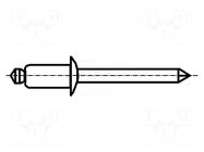 Rivet; aluminium; Rivet diam: 3.2mm; L.rivet: 8mm; BN 3328 BOSSARD