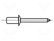 Rivet; aluminium; Rivet diam: 3.2mm; L.rivet: 6mm; BN 926 BOSSARD