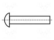 Rivet; copper; Rivet diam: 4mm; L.rivet: 10mm; BN 126; DIN 660 BOSSARD