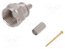 Plug; F; male; straight; 75Ω; crimped; for cable; 3GHz TELEGÄRTNER