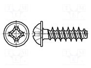 Screw; for plastic; 3.5x12; Head: button; Phillips; PH2; steel; zinc BOSSARD