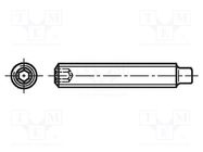 Screw; M6x8; 1; Head: without head; hex key; HEX 3mm; steel; DIN 915 BOSSARD