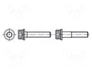 Screw; with flange; M6x20; 1; Head: knurled,cheese head; hex key BOSSARD