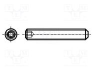 Screw; M10x10; 1.5; Head: without head; hex key; HEX 5mm; steel BOSSARD
