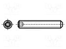 Screw; M6x10; 1; Head: without head; hex key; HEX 3mm; steel BOSSARD