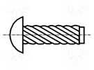 Screw rivet pin; A2 stainless steel; BN 689; Ø: 1.85mm; L: 3.17mm BOSSARD