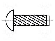 Screw rivet pin; A2 stainless steel; BN 689; Ø: 1.47mm; L: 3.17mm BOSSARD