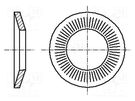 Washer; conical; M6; D=14mm; h=2.1mm; A2 stainless steel; BN 2332 BOSSARD